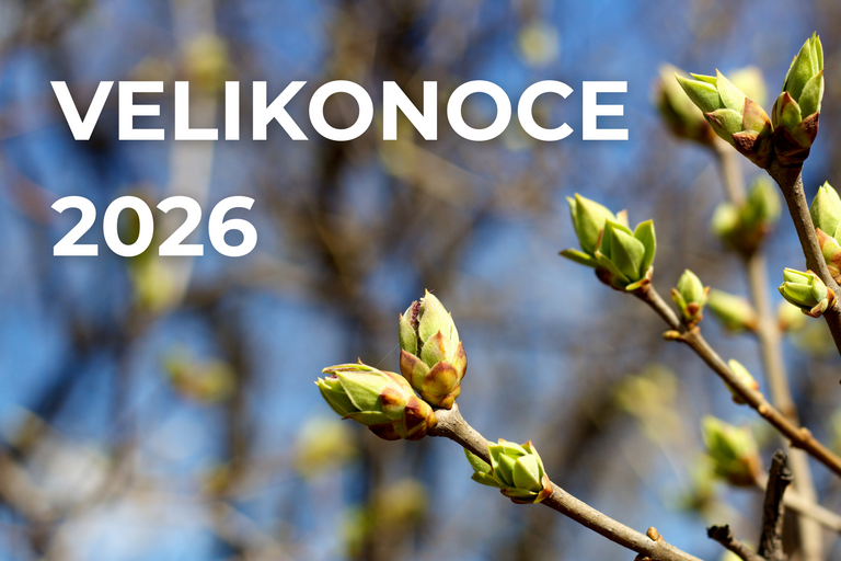 Velikonoce 2026 v našem sboru